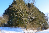  Winterbilder