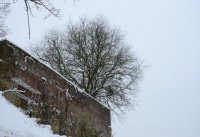 Winterbilder_14