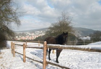 Winterbilder_21