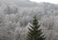 Winterbilder_31