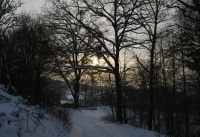 Winterbilder_7