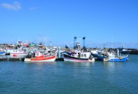 Frankreich - St. Pierre d'Oléron_26