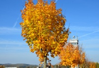 Grenzmuseum Schifflersgrund_12