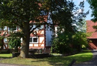 Stadtteil Herlefeld_25